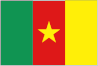 national flag of Cameroon